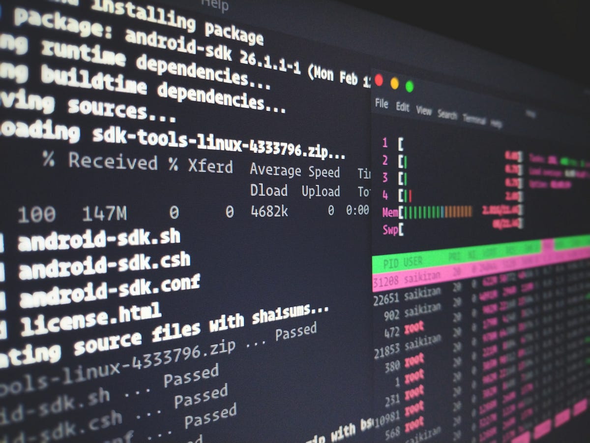 Web Development